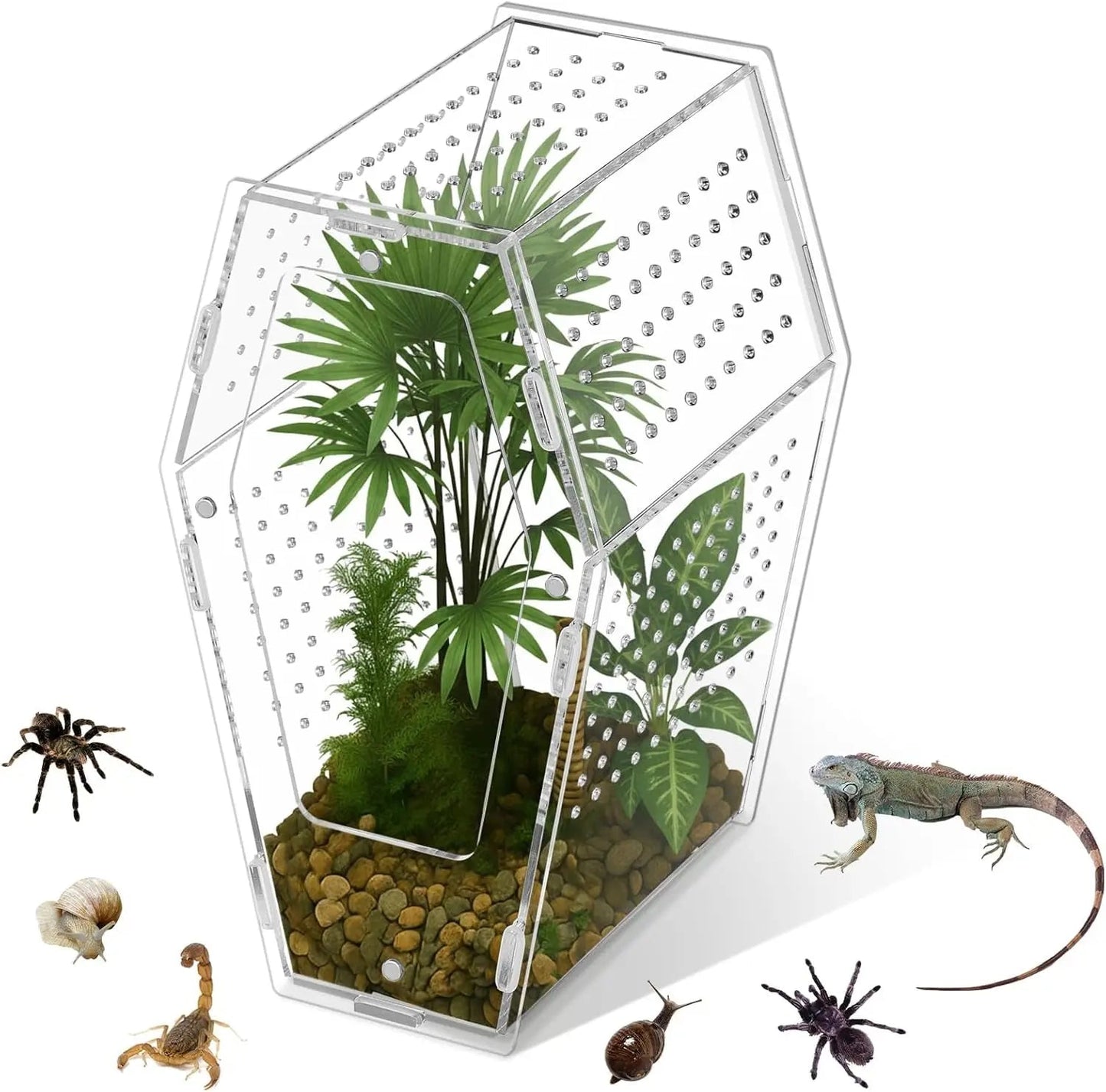Acrylic Jumping Spider Habitat, Clear Insect & Reptile Terrarium Enclosure