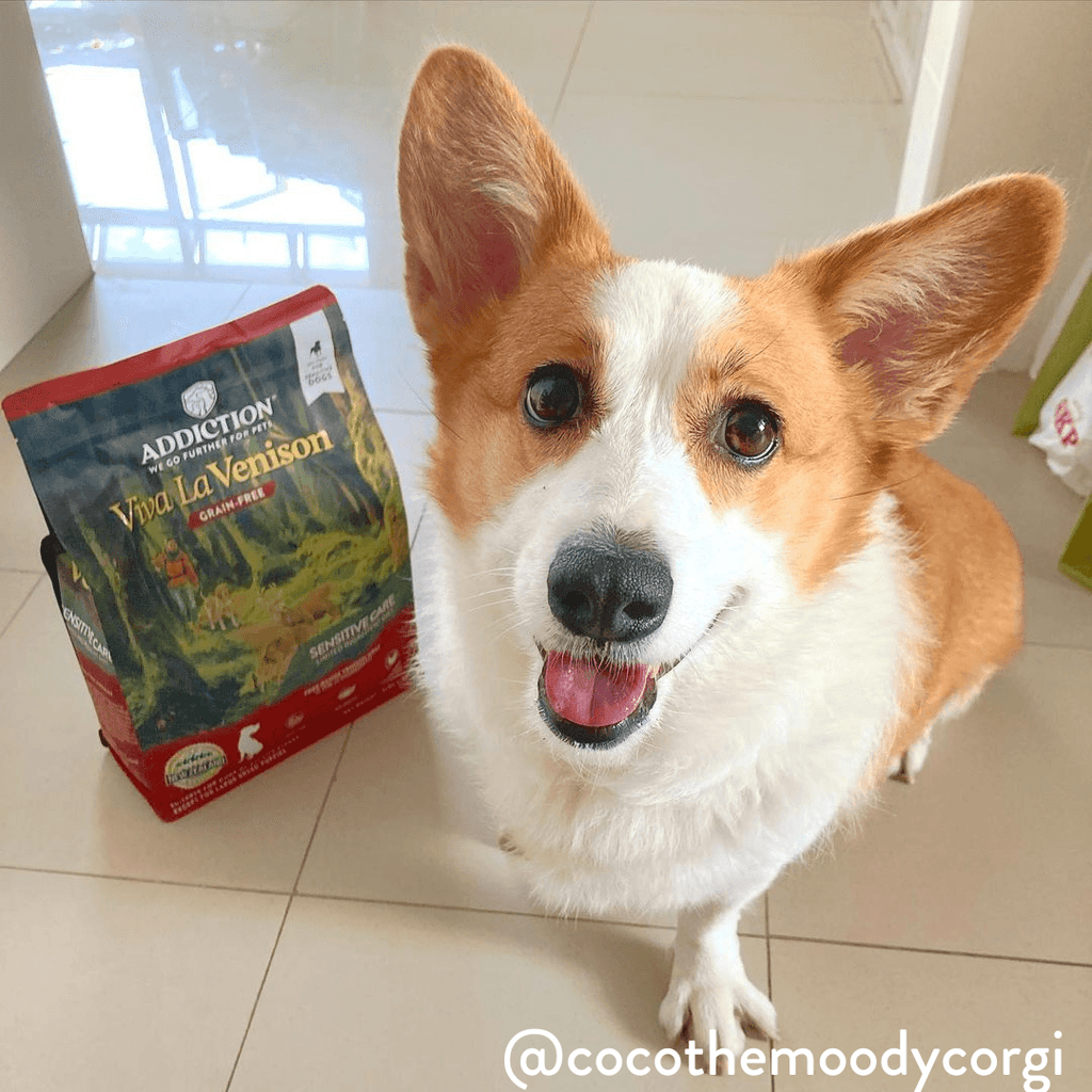 Viva La Venison Dry Dog Food