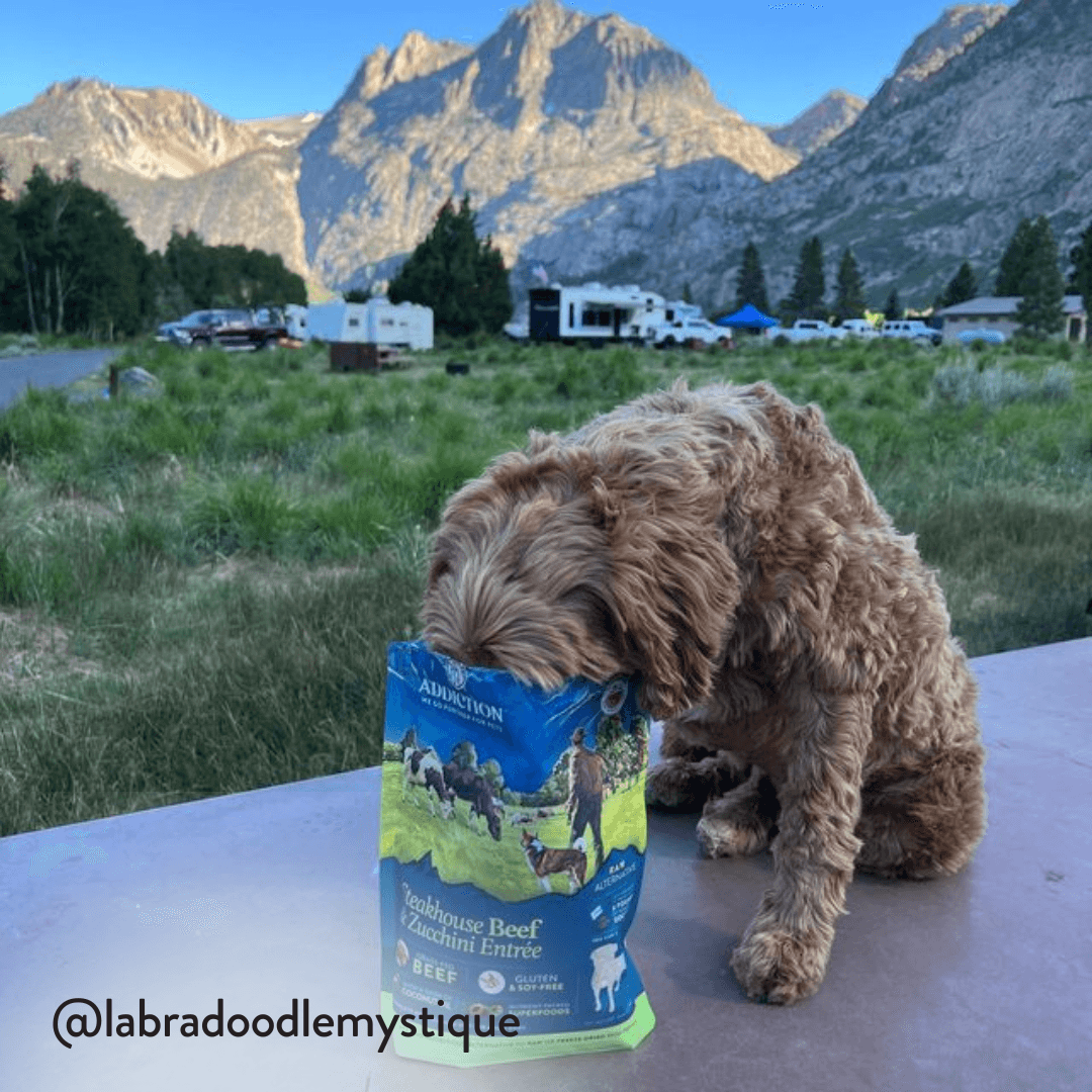 Steakhouse Beef & Zucchini Air-Dried Dog Food