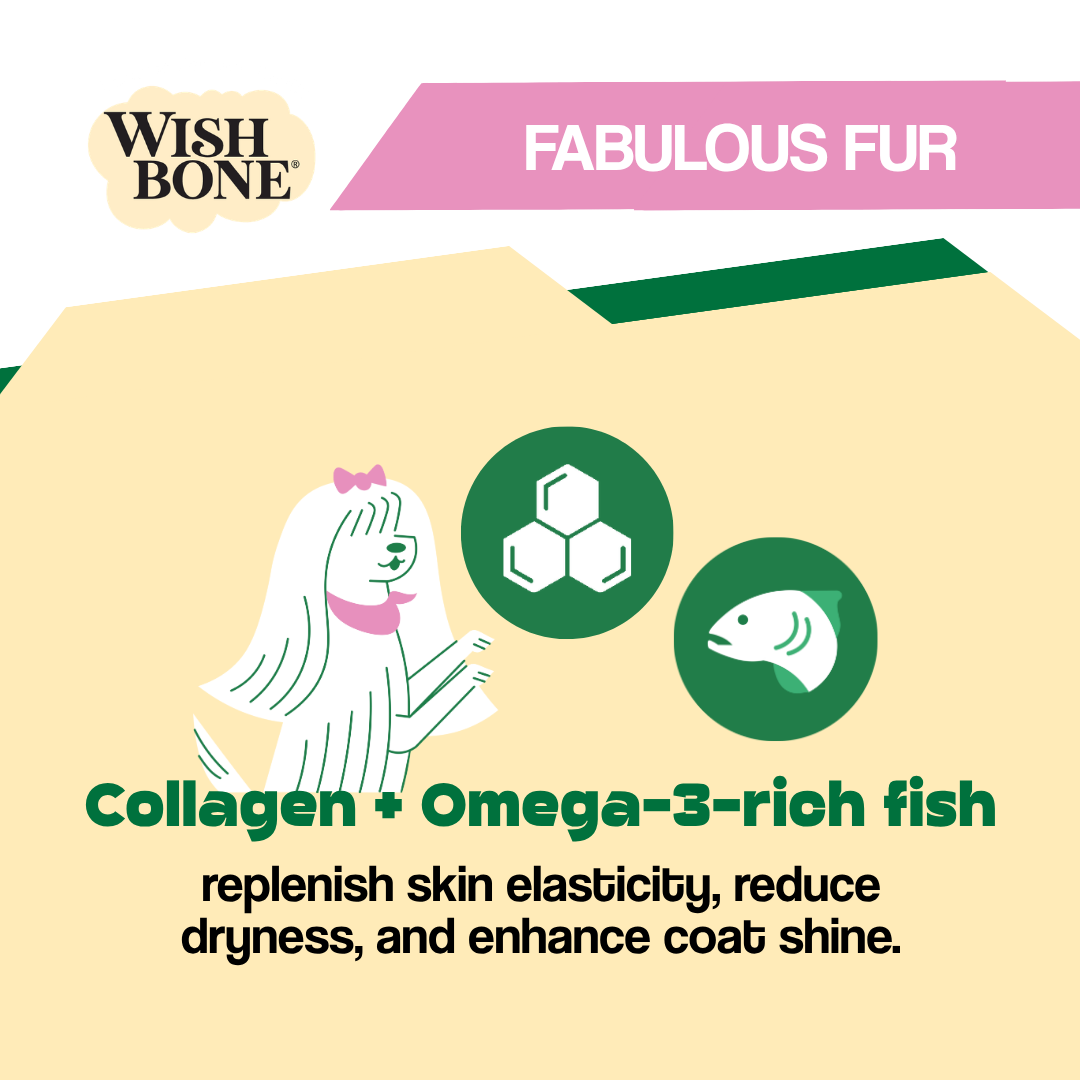 Wishbone Air-Dried Ocean Fish & Lamb Recipe Dog Food - 454g
