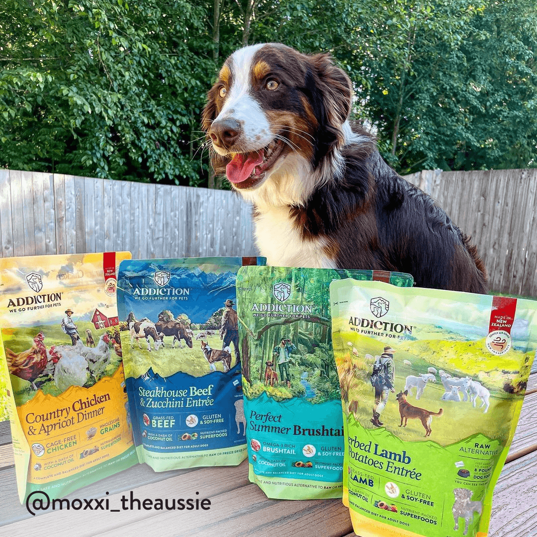 Perfect Summer Brushtail Air-Dried Dog Food