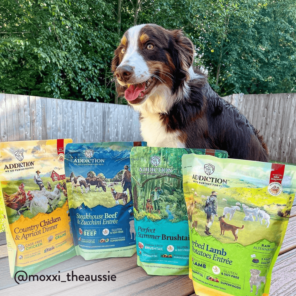 Herbed Lamb & Potatoes Air-Dried Dog Food