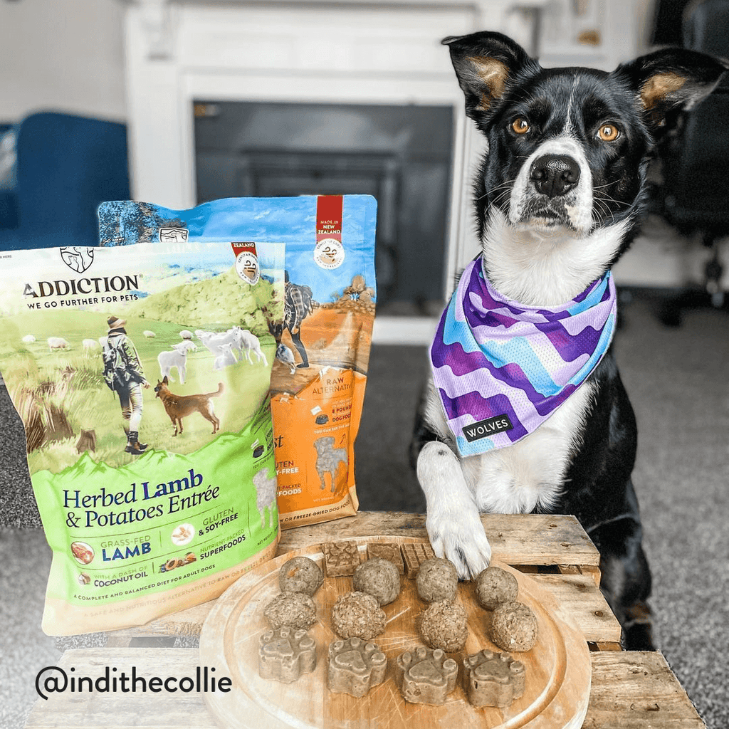 Herbed Lamb & Potatoes Air-Dried Dog Food