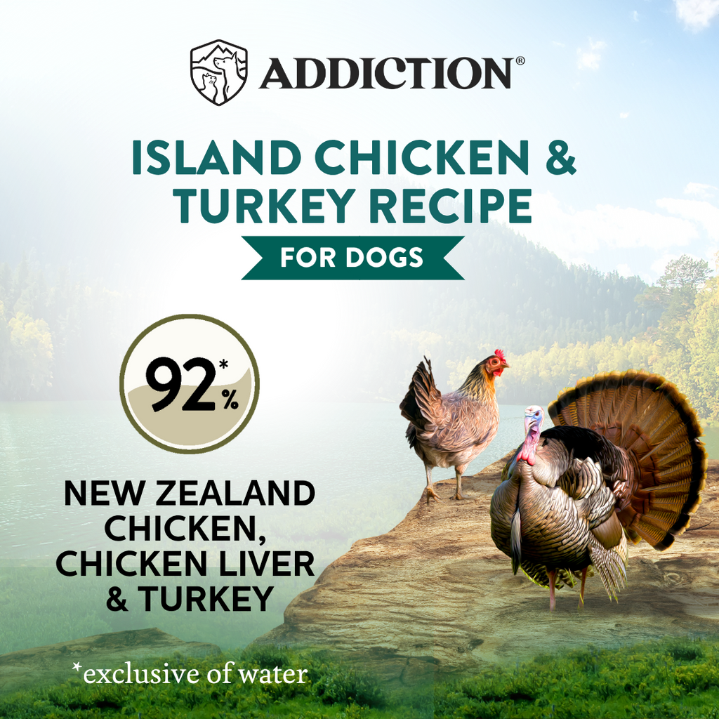 Wild Islands Island Chicken & Turkey Recipe Premium Grain-free Canned Dog Food 185g