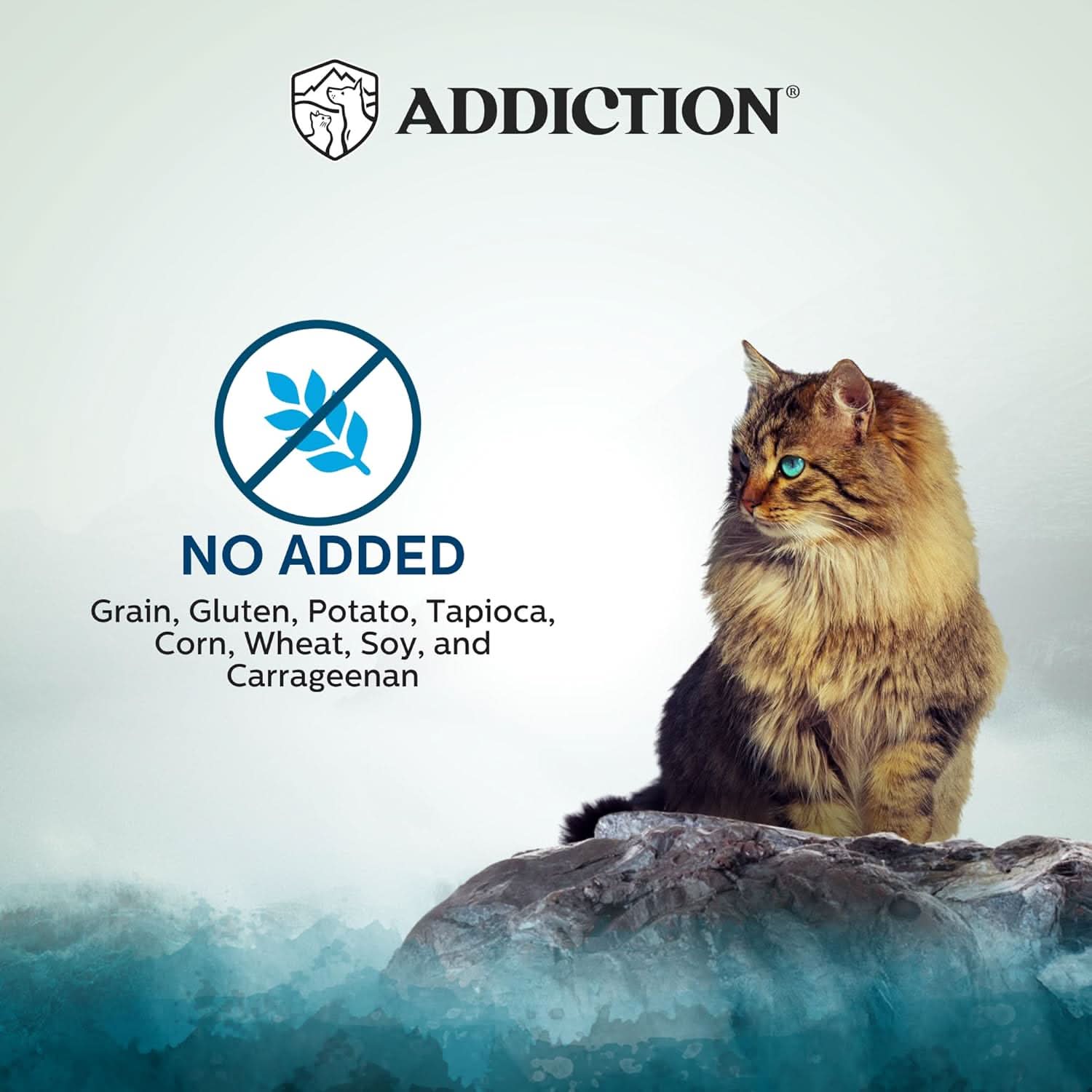 Wild Islands Pacific Catch Premium Ocean Fish & Salmon Grain-Free Canned Cat Food