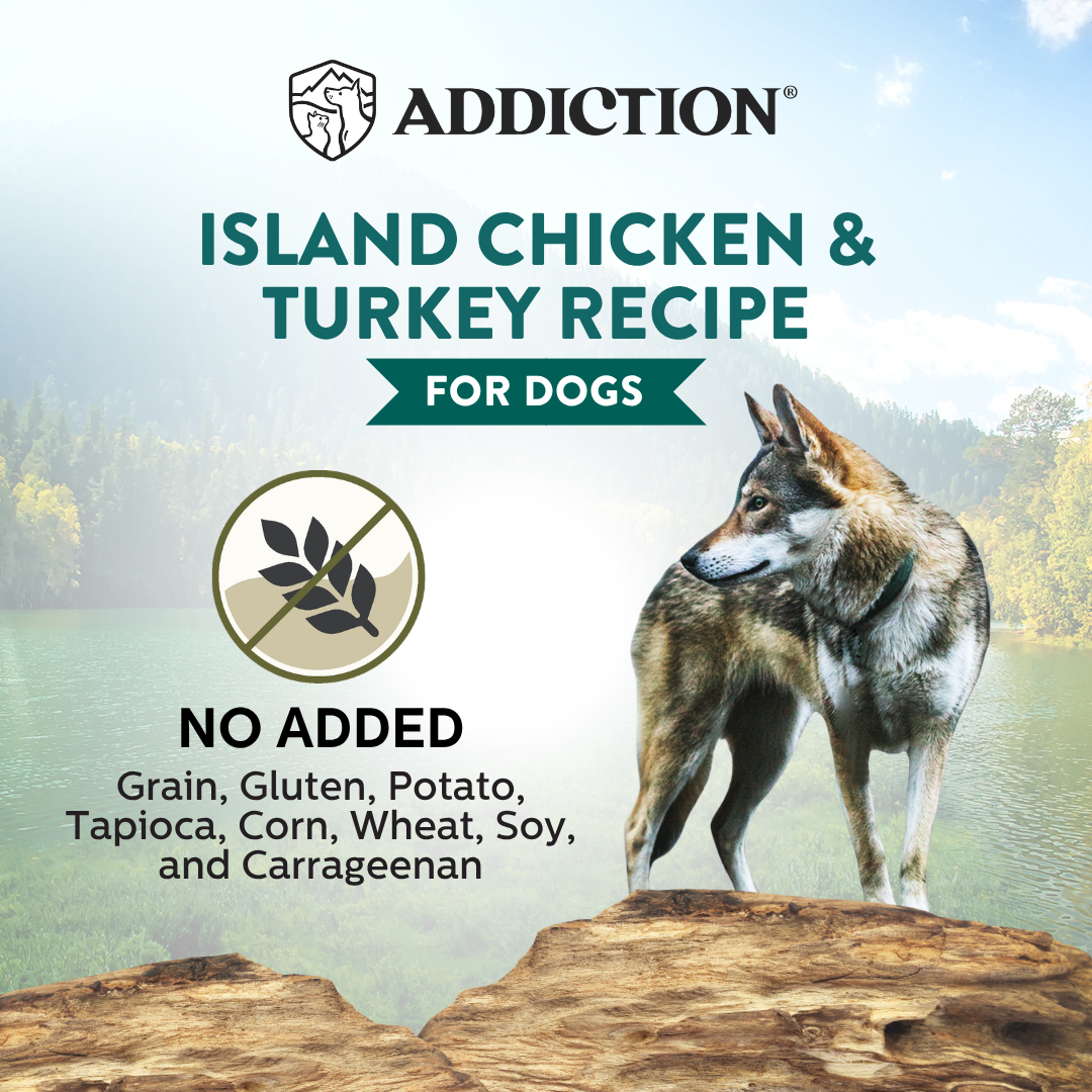 Wild Islands Island Chicken & Turkey Recipe Premium Grain-free Canned Dog Food 185g