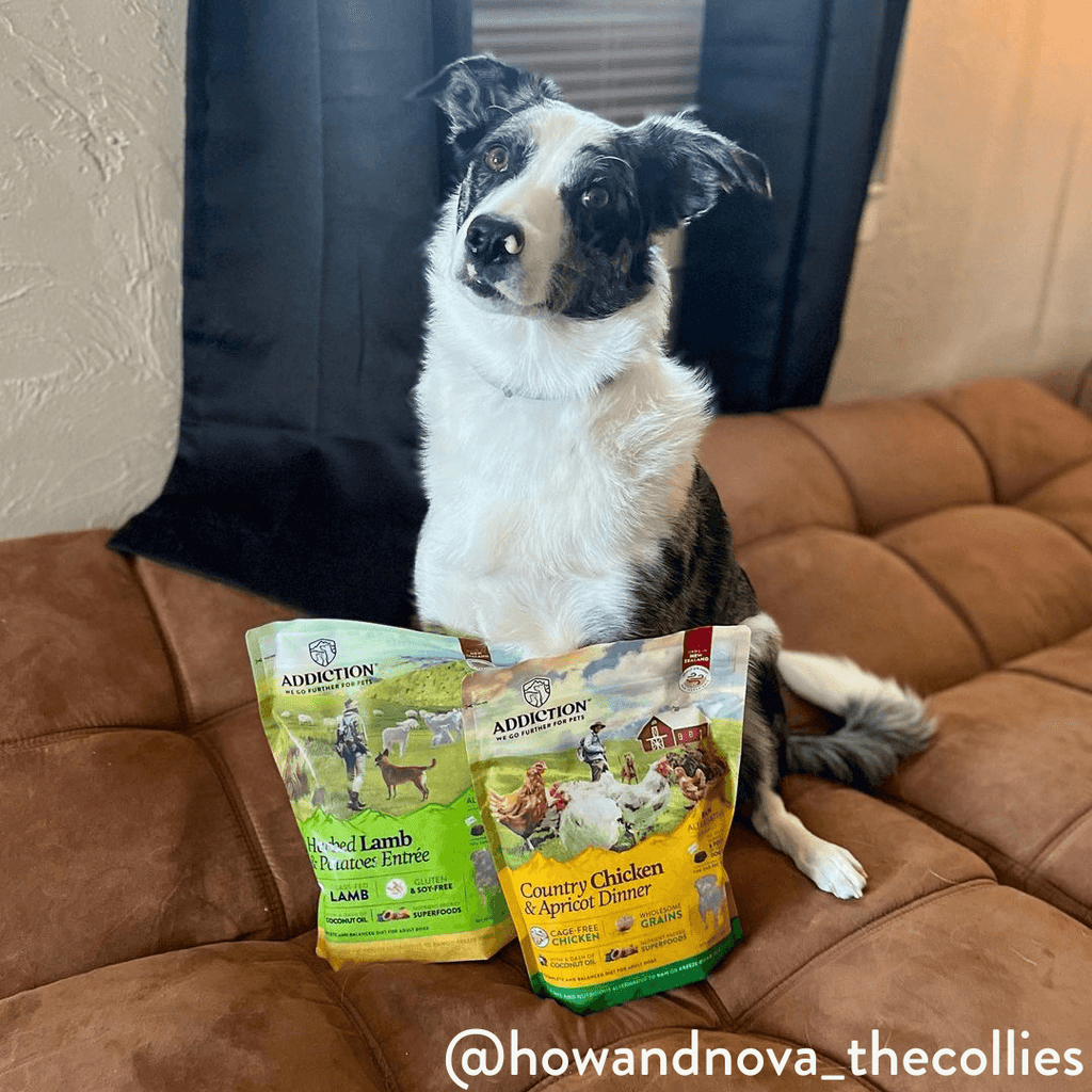 Perfect Summer Brushtail Air-Dried Dog Food