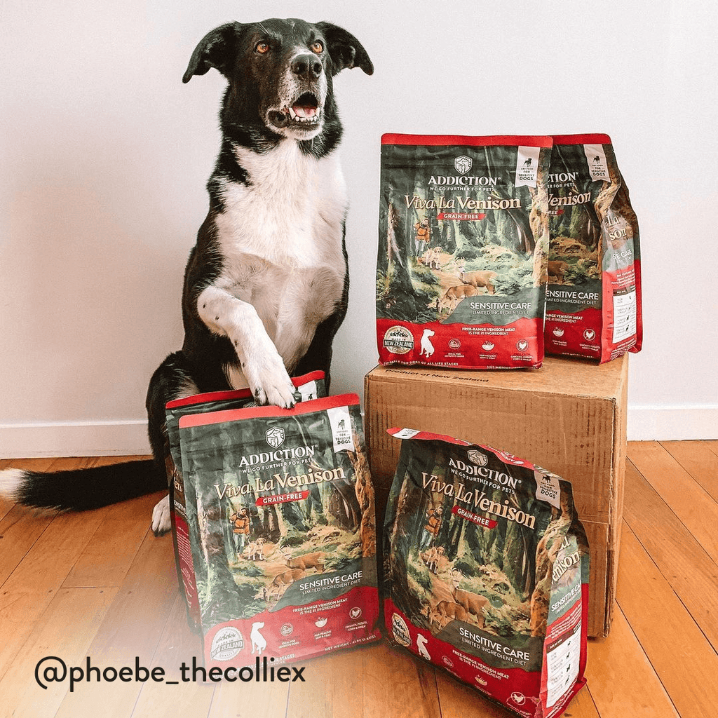 Viva La Venison Dry Dog Food