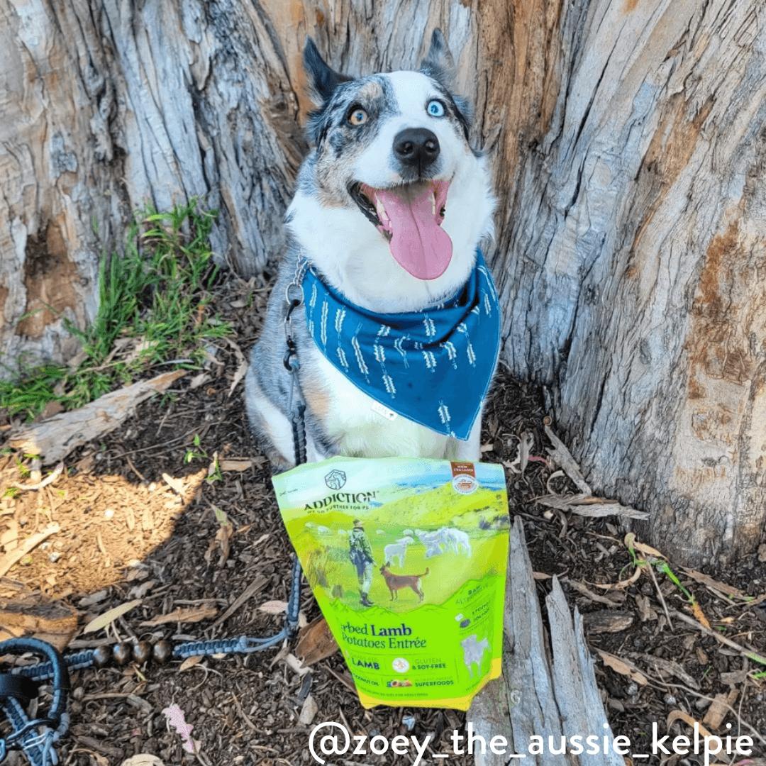 Herbed Lamb & Potatoes Air-Dried Dog Food