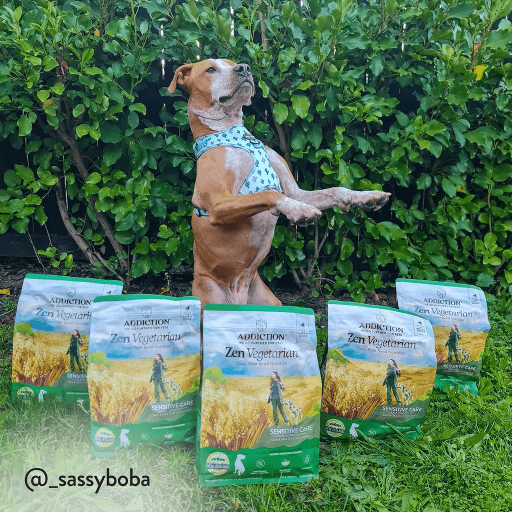 Zen Vegetarian Dry Dog Food