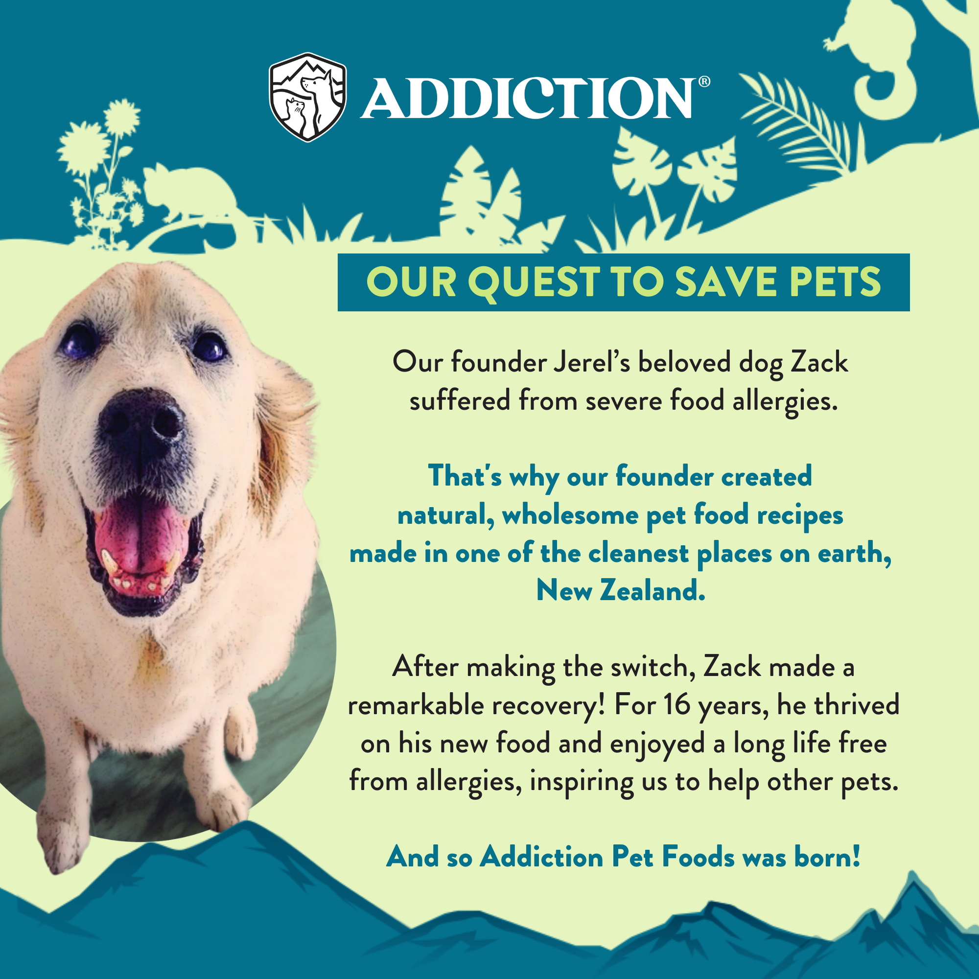 Perfect Summer Brushtail Air-Dried Dog Food