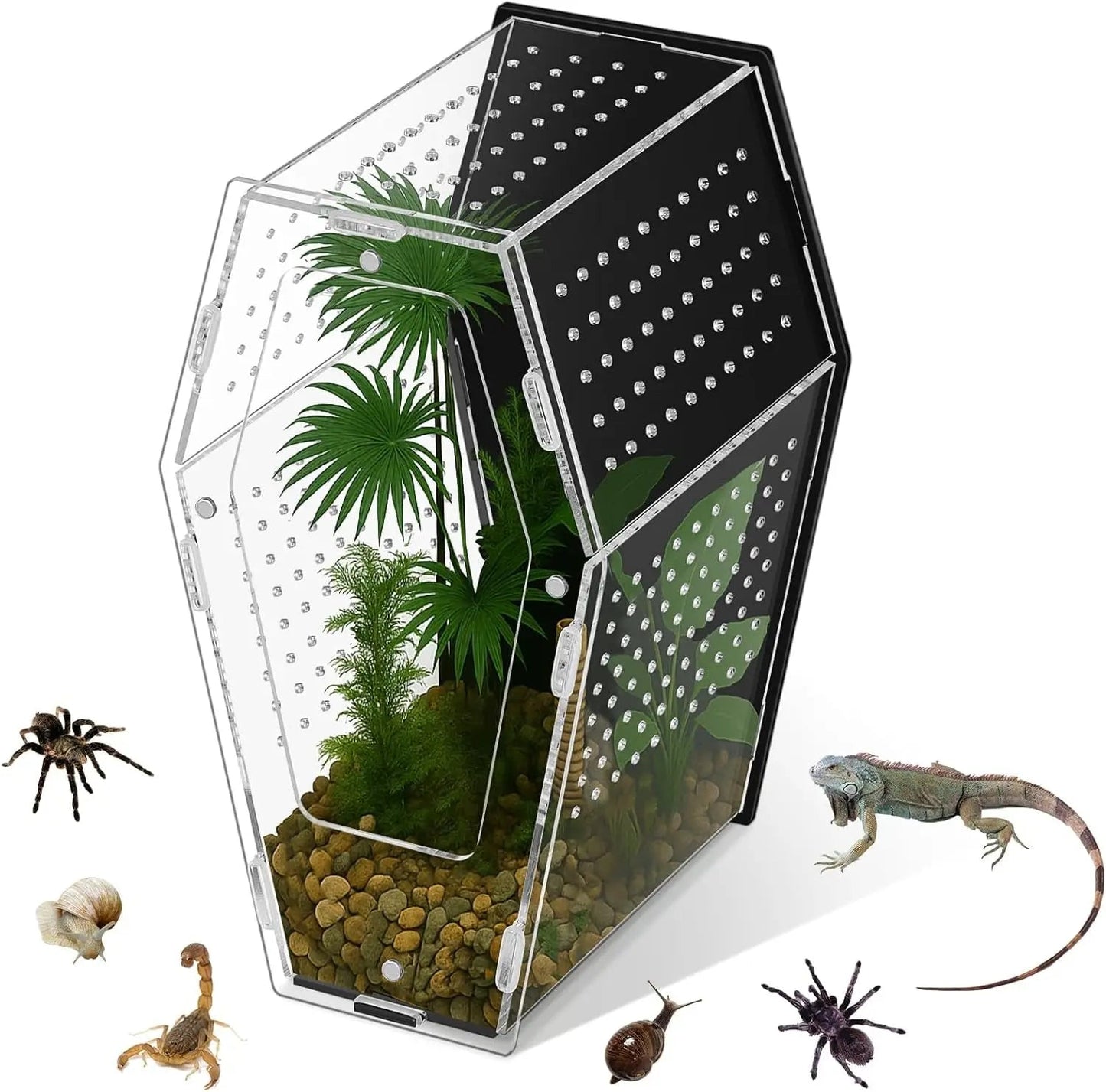 Acrylic Jumping Spider Habitat, Clear Insect & Reptile Terrarium Enclosure