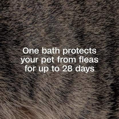Adams Plus Flea & Tick Shampoo with Precor IGR – Kills Fleas, Ticks & Lice, 12 oz