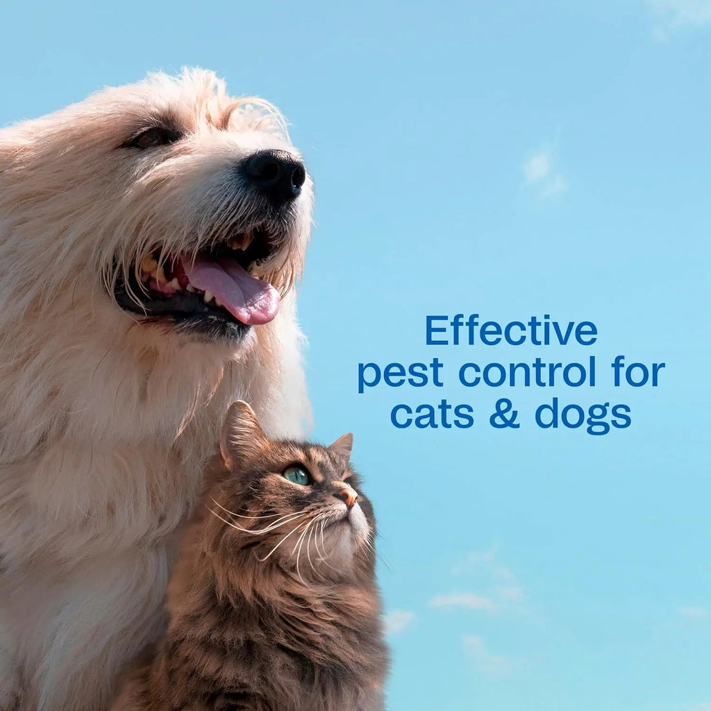 Adams Plus Flea & Tick Shampoo with Precor IGR – Kills Fleas, Ticks & Lice, 12 oz