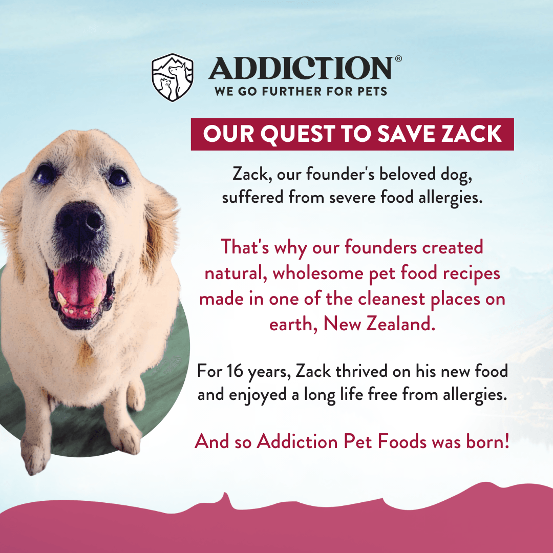 Viva La Venison Grain-free Premium Venison Small Breed Dry Dog Food