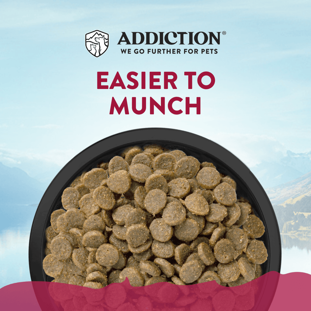 Viva La Venison Grain-free Premium Venison Small Breed Dry Dog Food