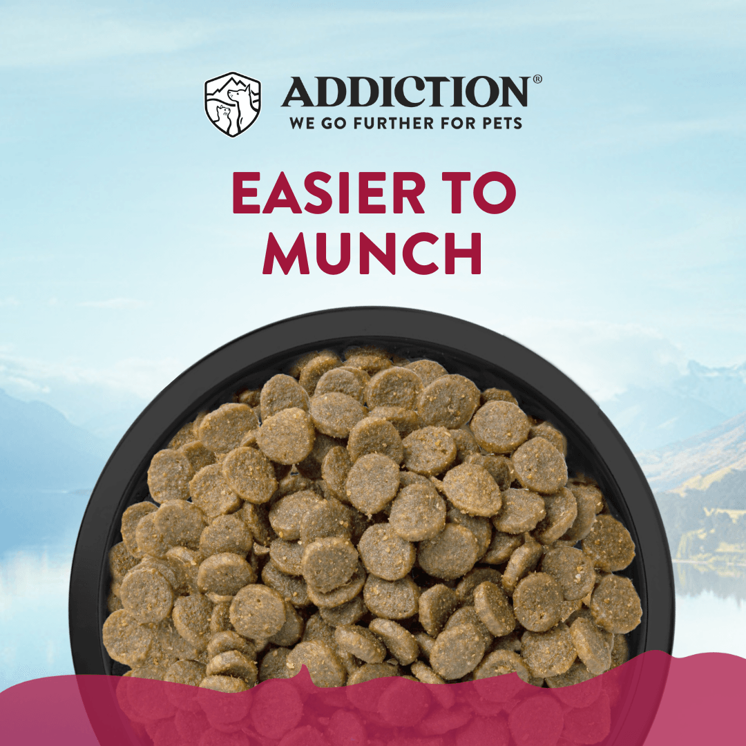 Viva La Venison Grain-free Premium Venison Small Breed Dry Dog Food