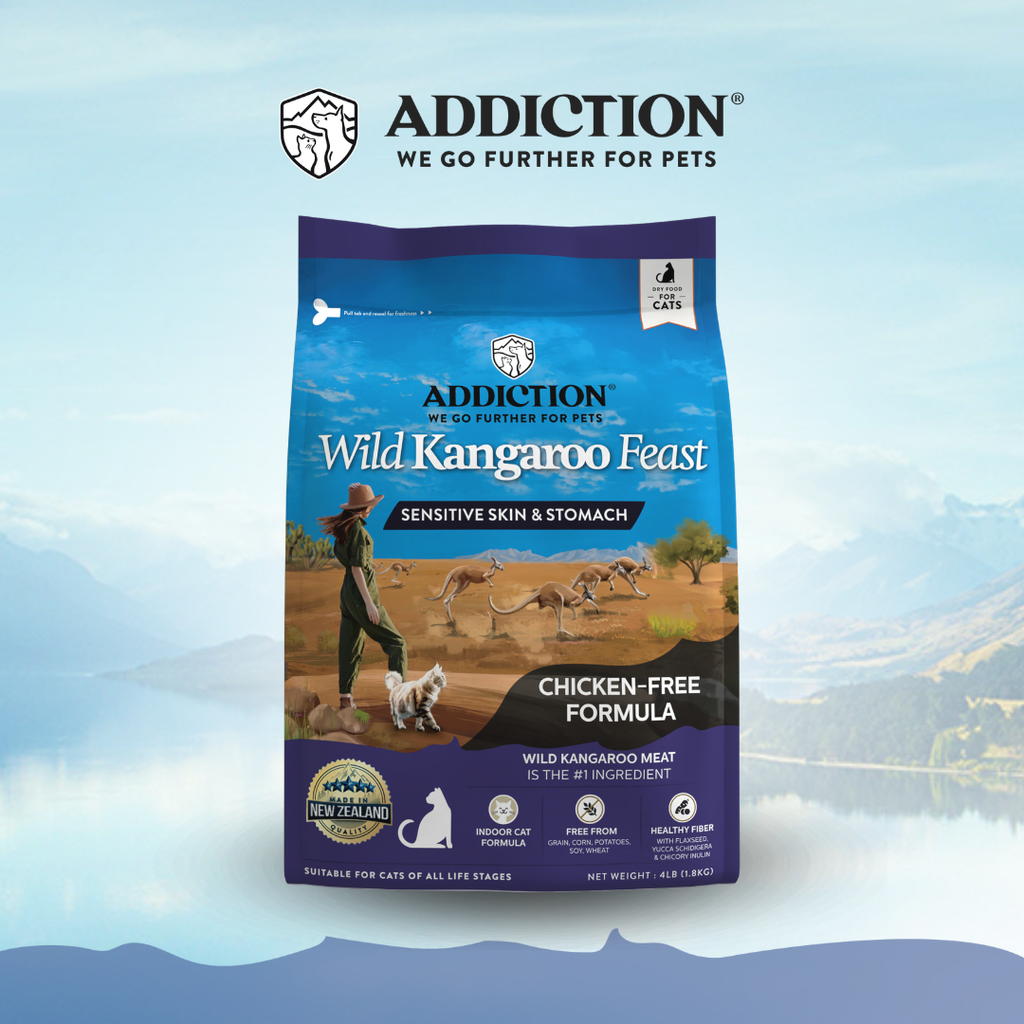 Wild Kangaroo Feast Dry Cat Food