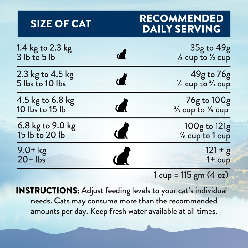 Wild Kangaroo Feast Dry Cat Food