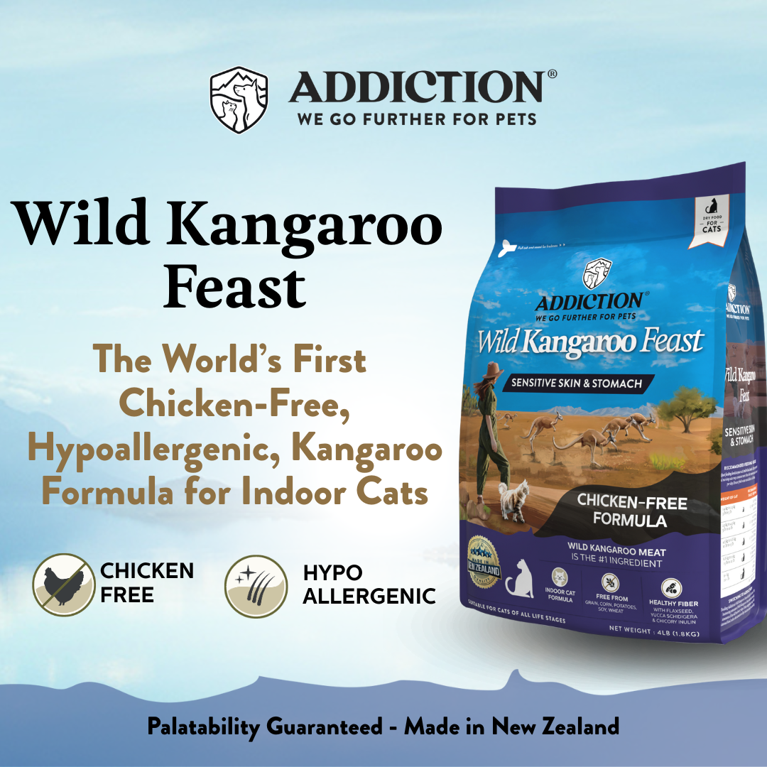 Wild Kangaroo Feast Dry Cat Food