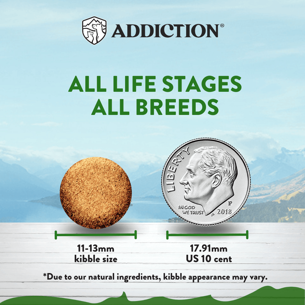 Addiction Zen Vegetarian Dog Food & Vegan Treats Bundle