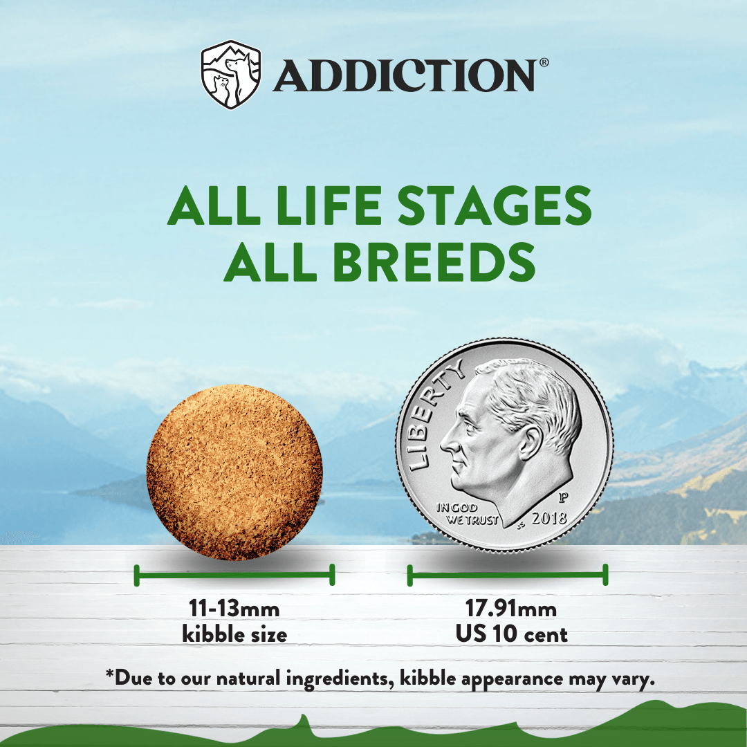 Addiction Zen Vegetarian Dog Food & Vegan Treats Bundle