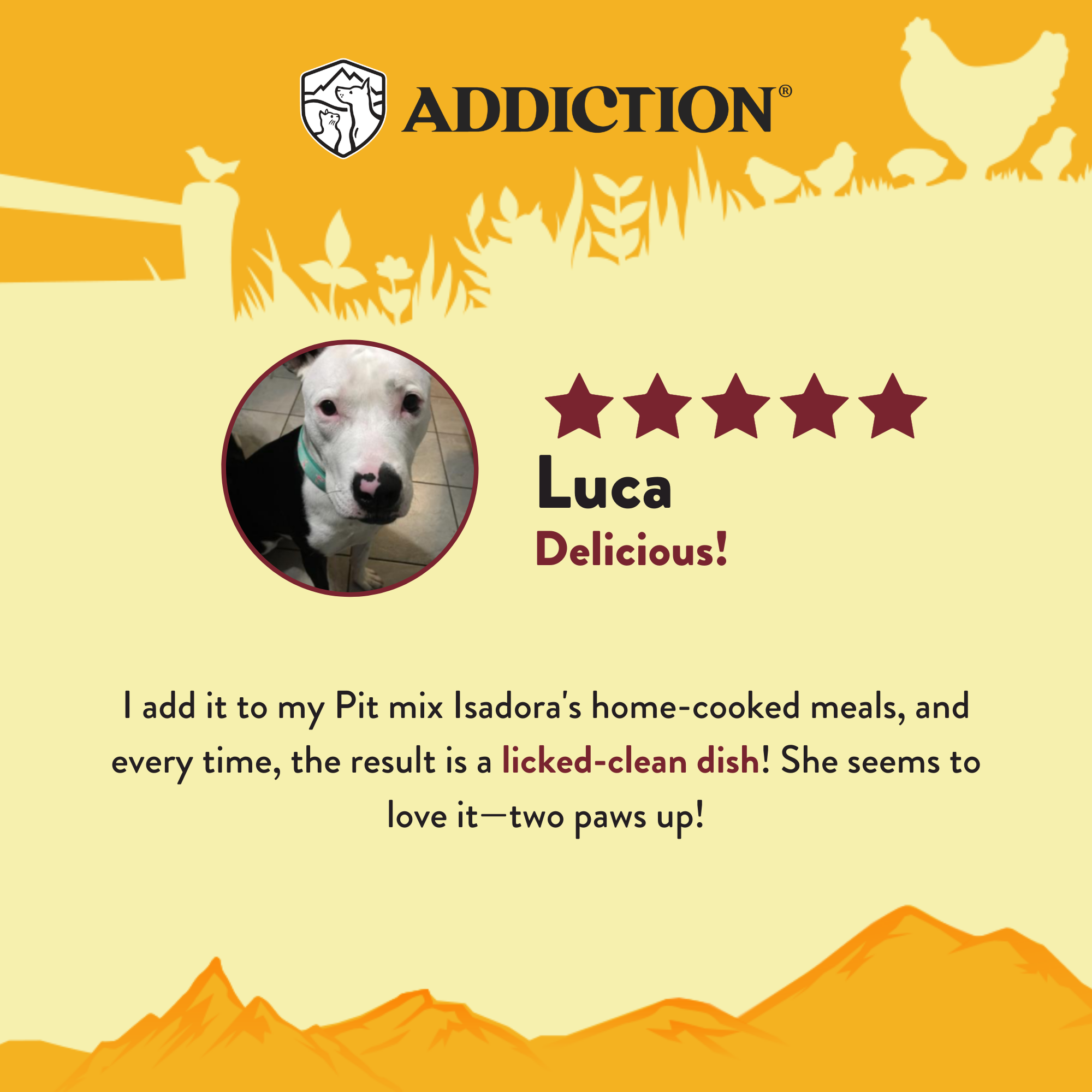 Country Chicken & Apricot Air-Dried Dog Food