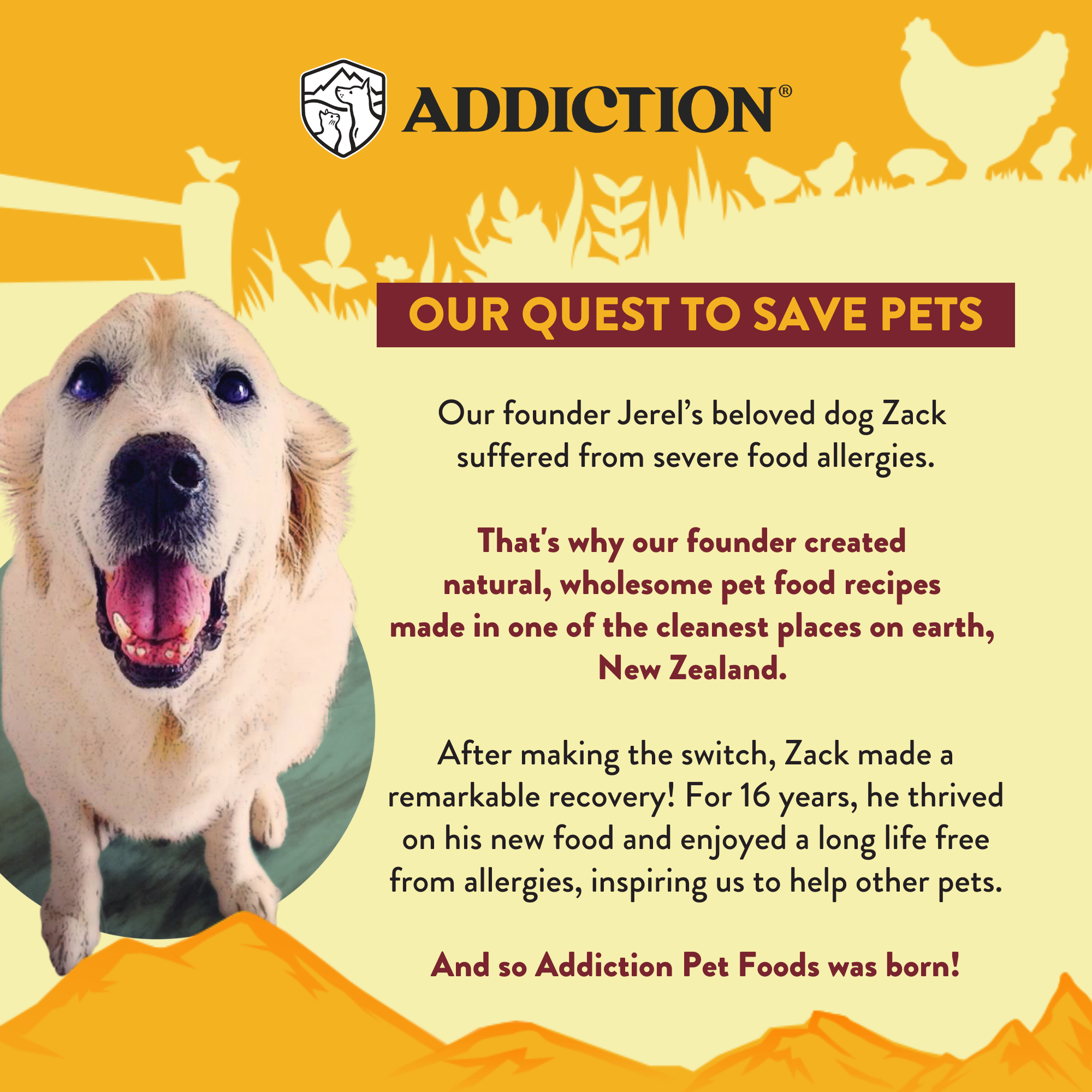Country Chicken & Apricot Air-Dried Dog Food