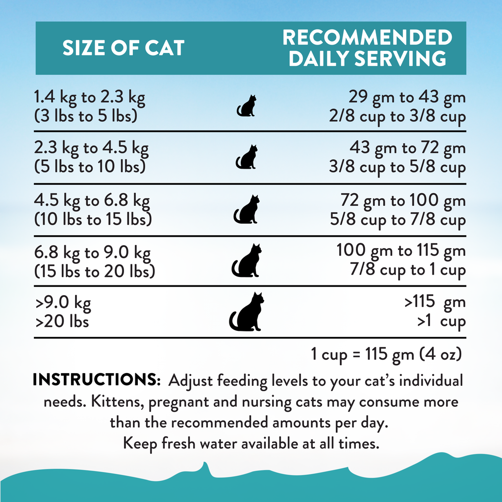 Salmon Bleu Dry Cat Food