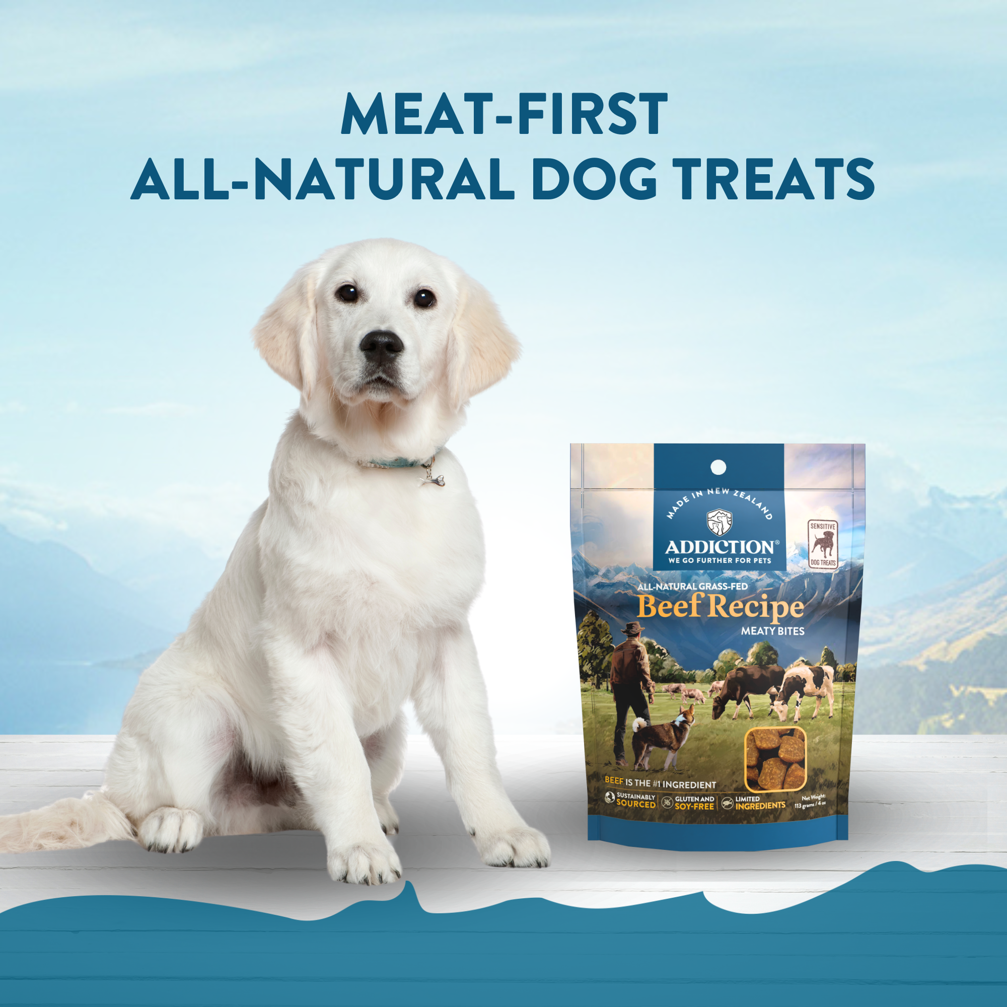 Beef Meaty Bites - Hypoallergenic Dog Treats
