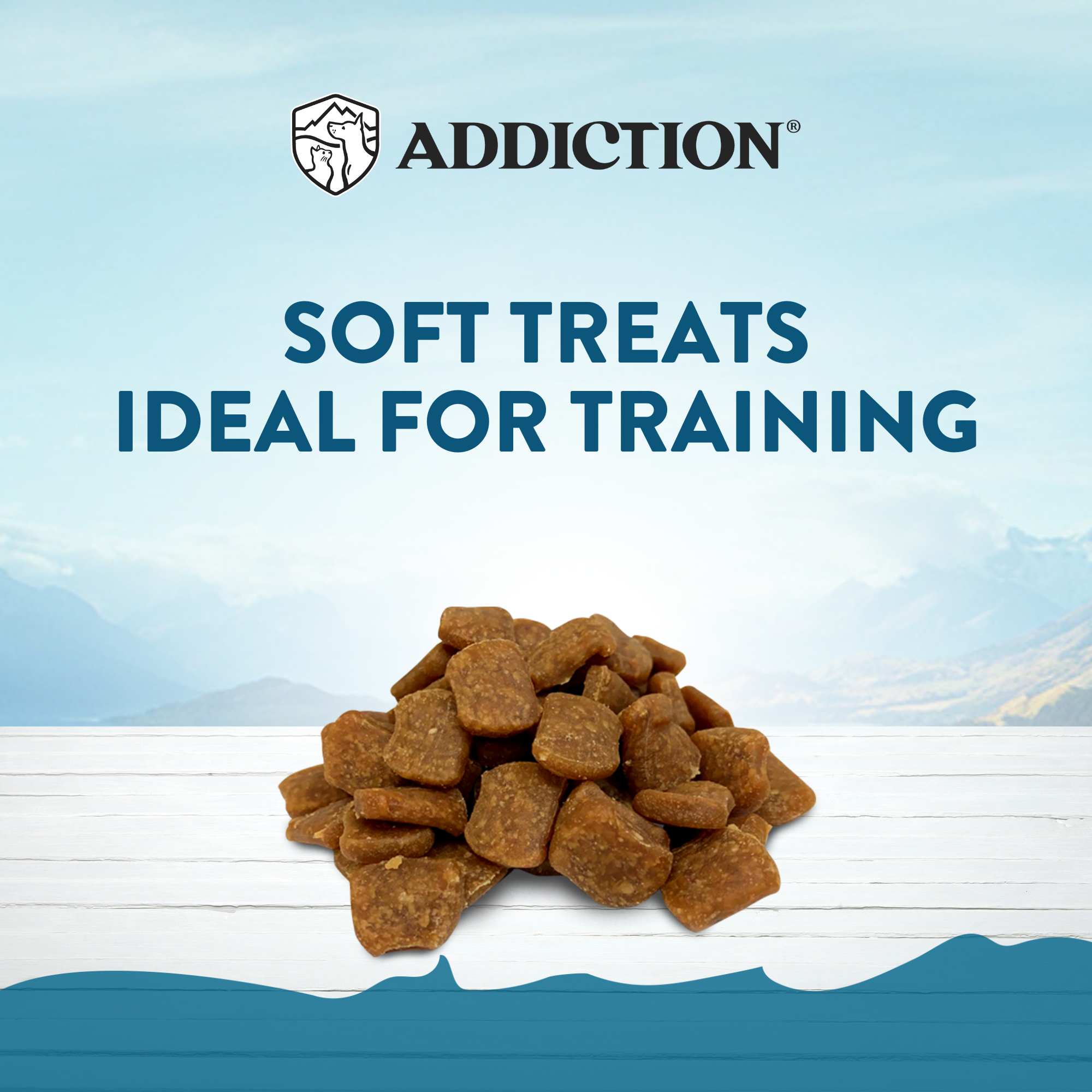 Beef Meaty Bites - Hypoallergenic Dog Treats