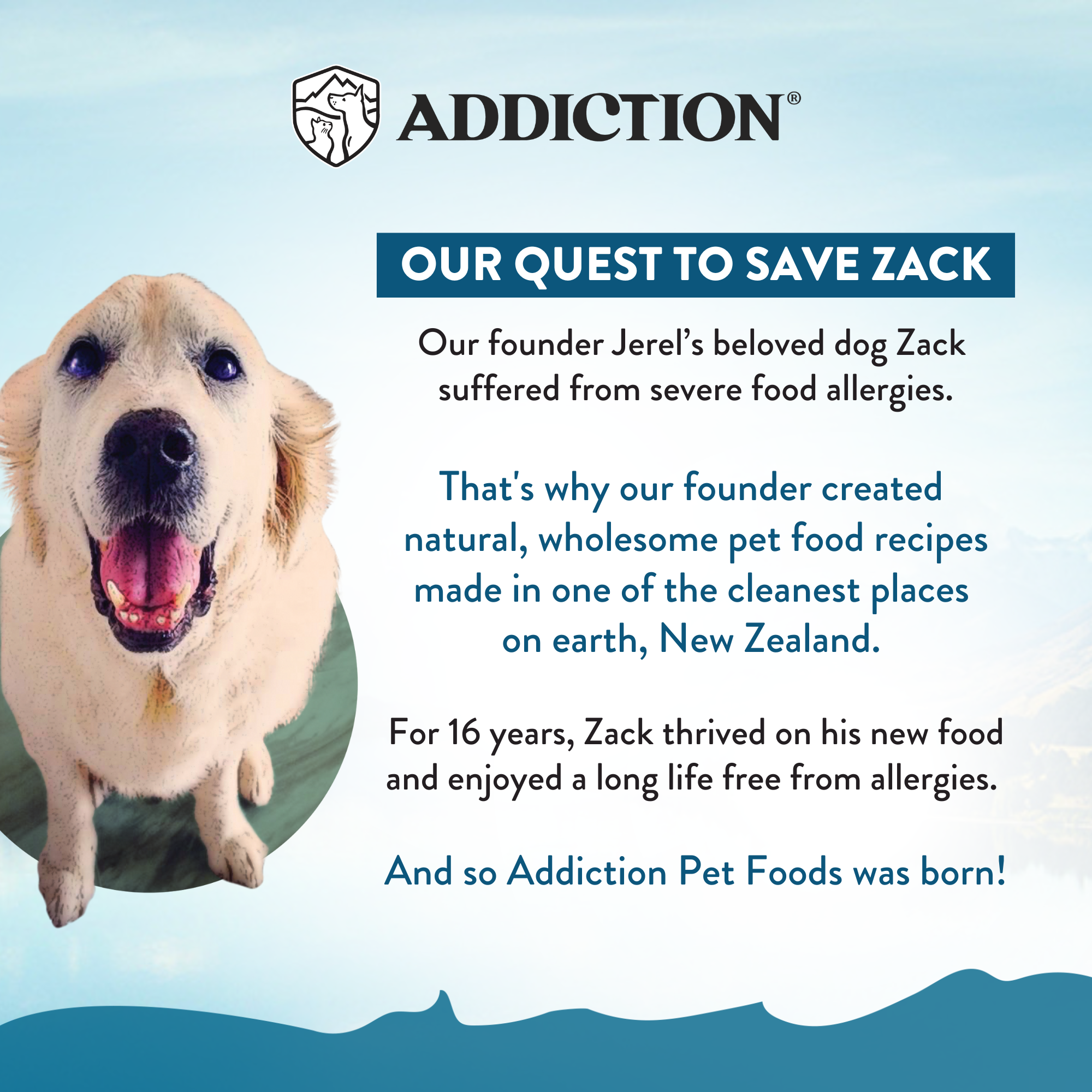 Beef Meaty Bites - Hypoallergenic Dog Treats
