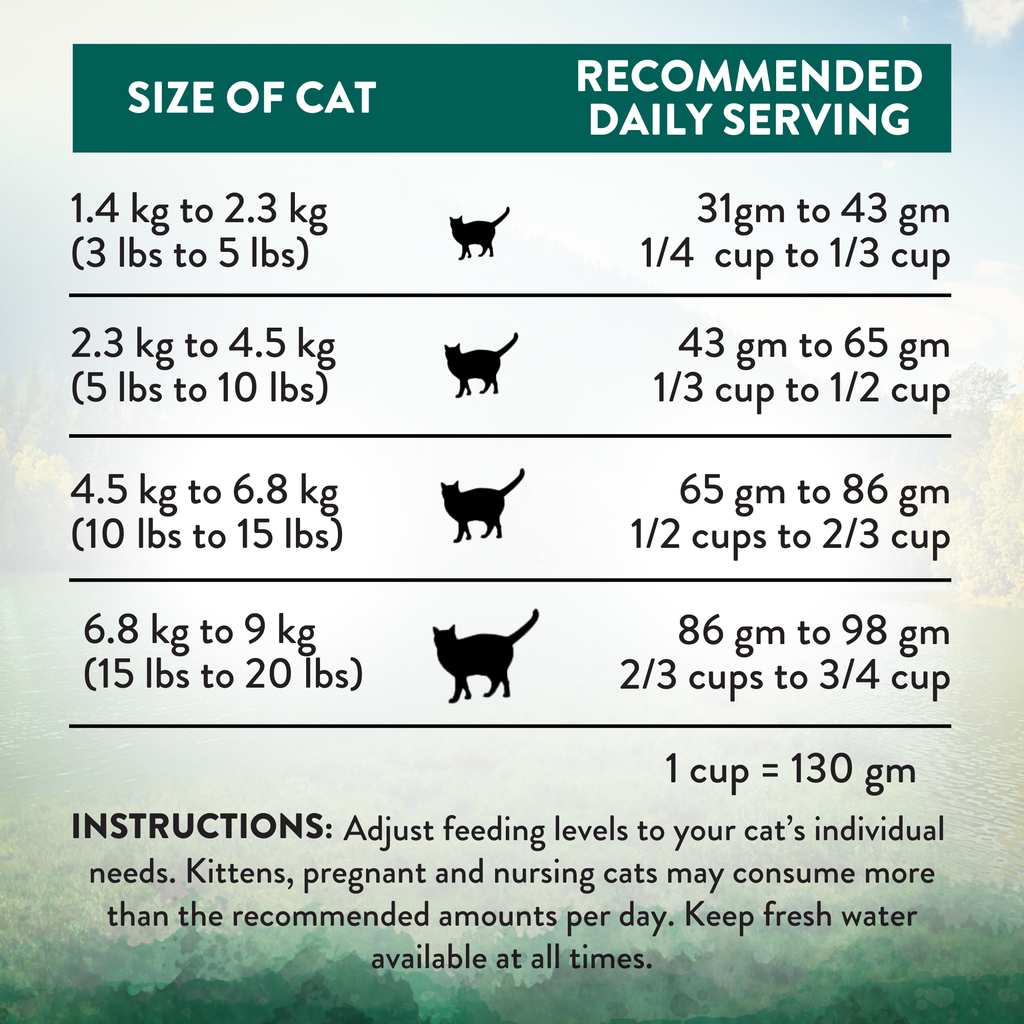 Wild Islands Island Bird Premium Duck Turkey & Chicken Dry Cat Food