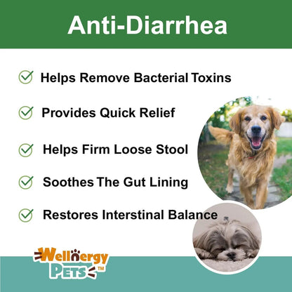 Anti Diarrhea Liquid for Dogs - Dog Diarrhea Relief with Kaolin (4 Oz.)