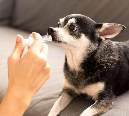Anti Diarrhea Liquid for Dogs - Dog Diarrhea Relief with Kaolin (4 Oz.)