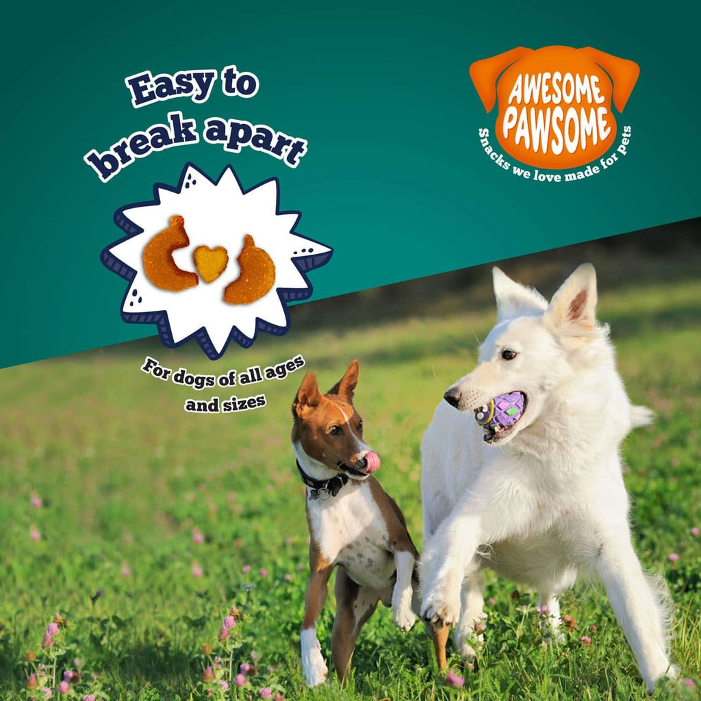 Addiction Zen Vegetarian Dog Food & Vegan Treats Bundle