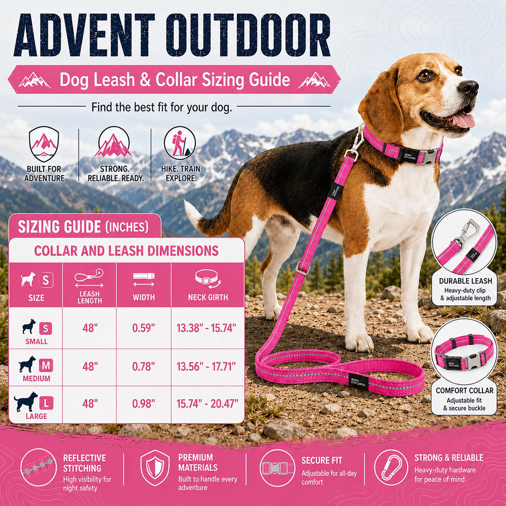Pet Life ® 'Advent' Outdoor Series 3M Reflective 2-in-1 Durable Martingale Training Dog Leash and Collar
