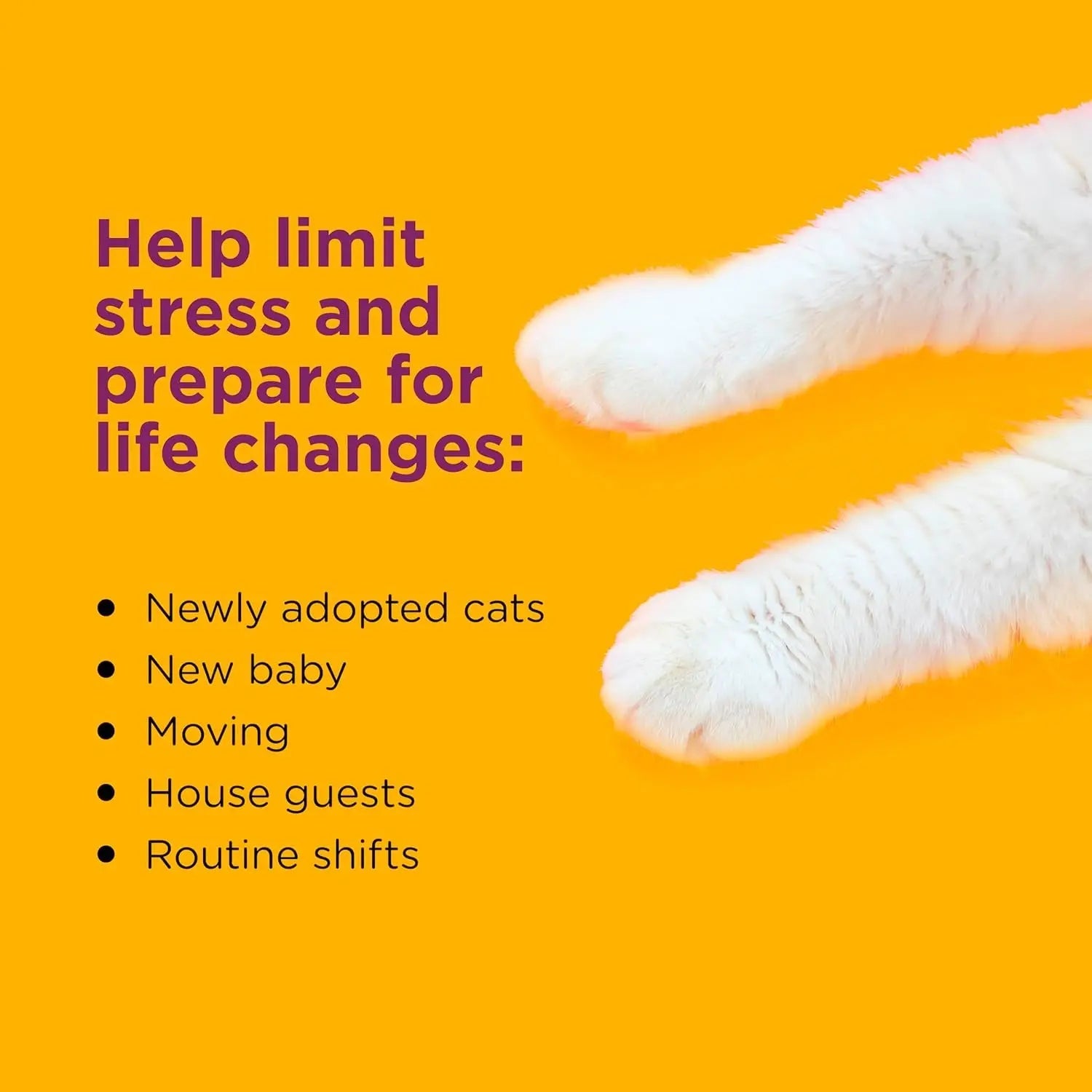 Cat Calming Diffuser Value Kit – 3 Plug-Ins & 6 Refills for Anxiety Relief