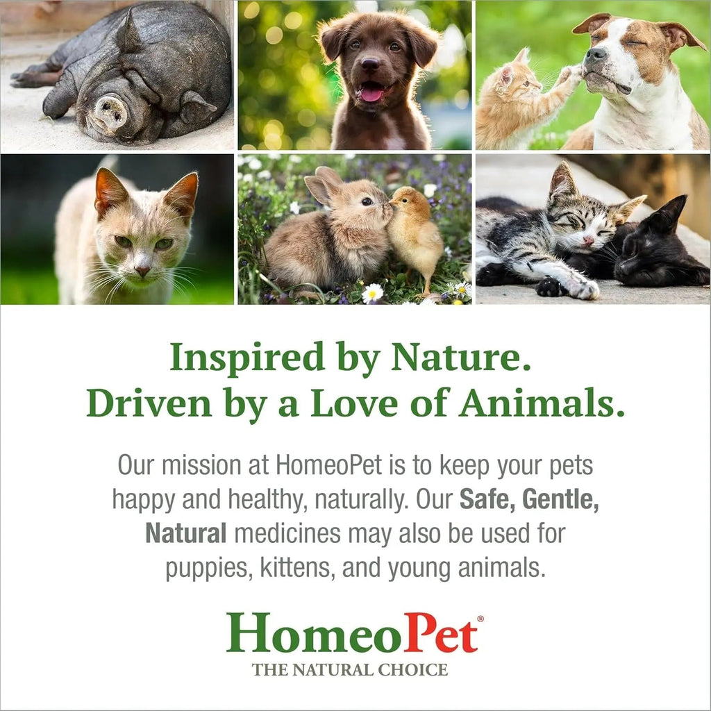 Cat UTI Relief Drops Natural Urinary Tract Support Supplement 15ml