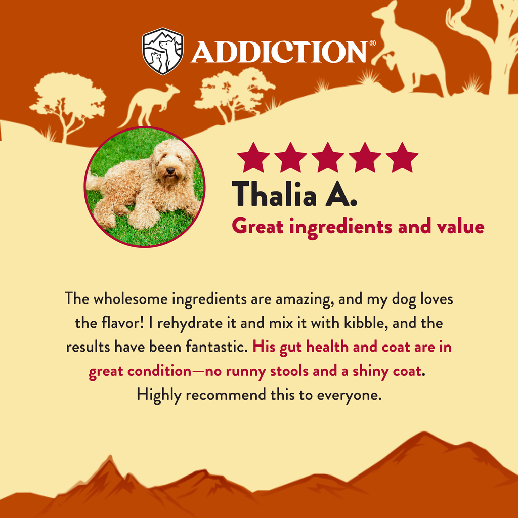 Outback Kangaroo Feast Air-Dried Dog Food