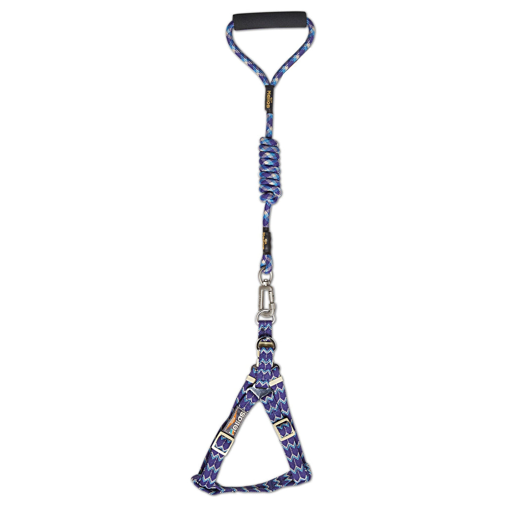 Dog Helios Surfside Designer Leash and Harness