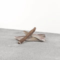 Primal Split Stag Antler