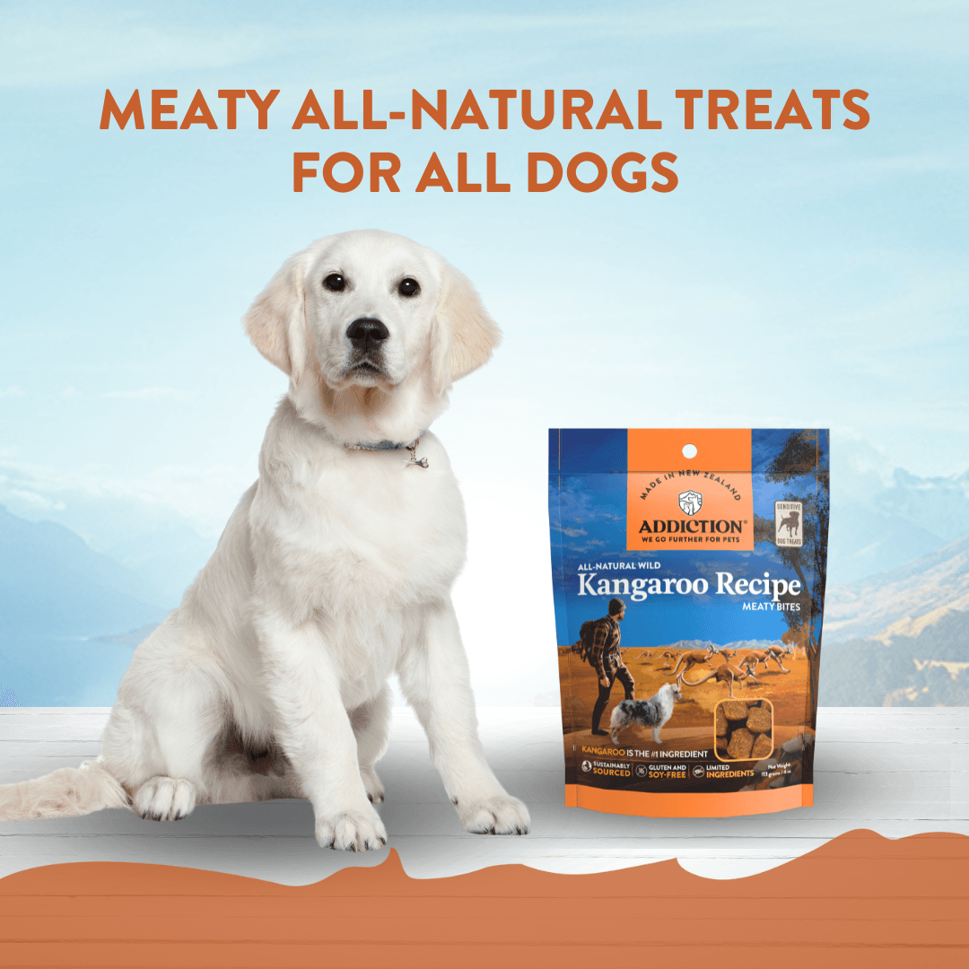 Addiction Kangaroo Air-Dried Dog Food & Treats Duo