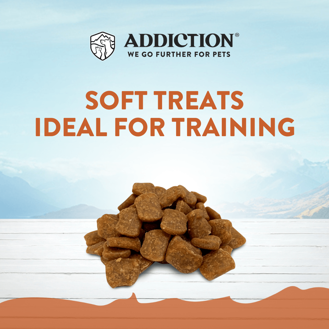 Addiction Kangaroo Air-Dried Dog Food & Treats Duo