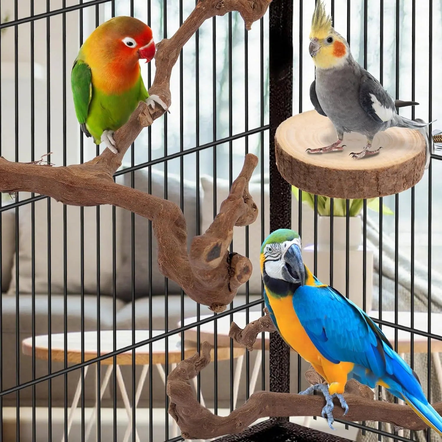 Natural Bird Perch Set – 6PC Grapewood & Peppercorn Branch Perches, Toys