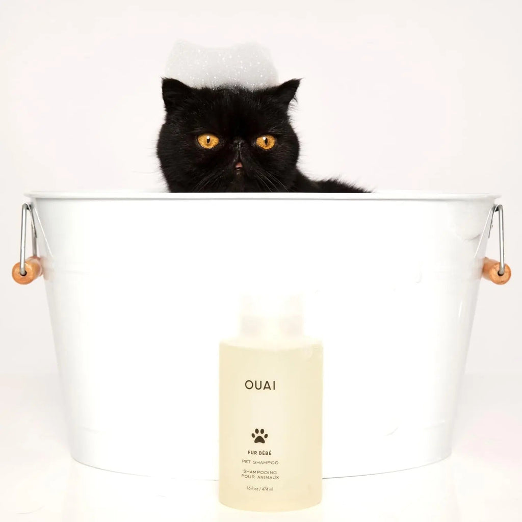 OUAI Fur Baby Pet Shampoo Mercer Street Scent Hydrating Dog Wash 16oz