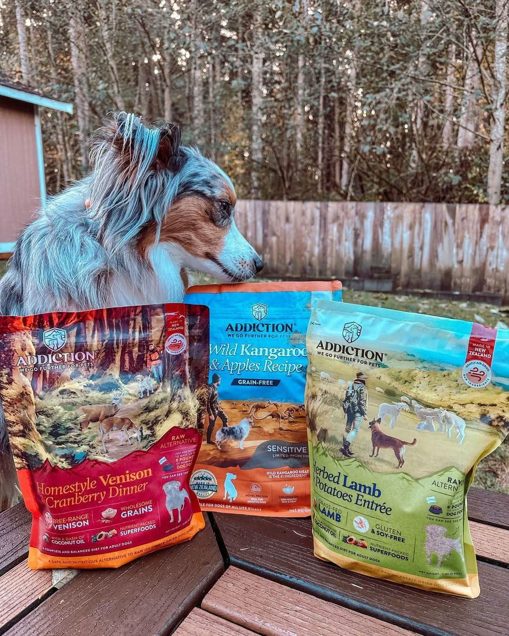 Herbed Lamb & Potatoes Air-Dried Dog Food