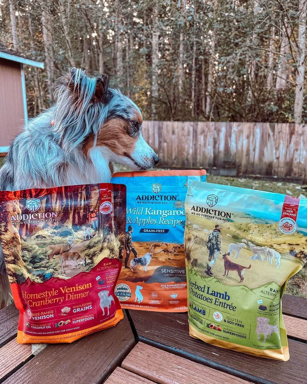 Herbed Lamb & Potatoes Air-Dried Dog Food